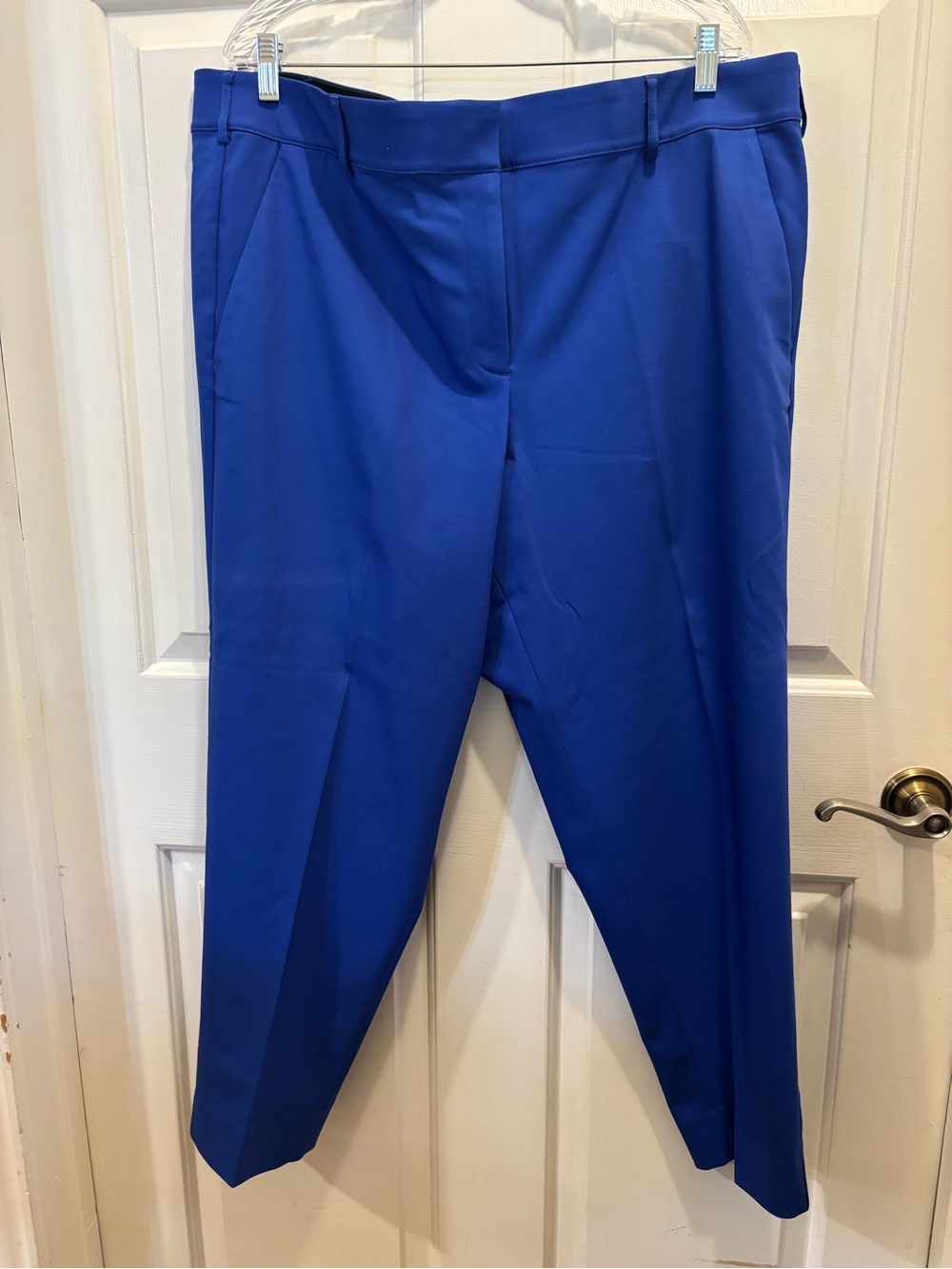 Layne Bryant Women's Straight-Leg The Sophie Dress Ankle Pants in Cobalt Blue
